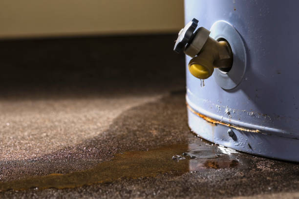 Best Carpet water damage restoration  in Crystal Lake, CT