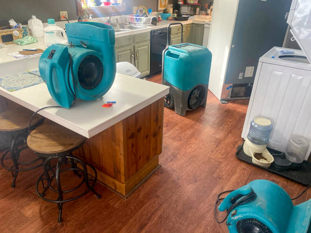 Water damage restoration experts in CT