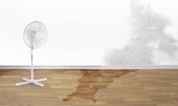 Best Water damage restoration near me  in Crystal Lake, CT
