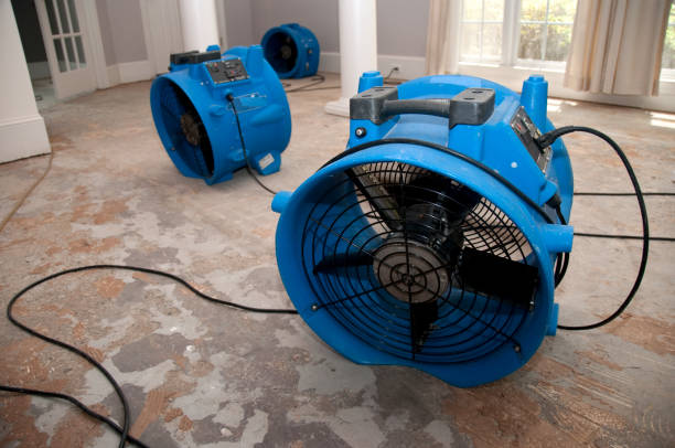 Best Local water damage restoration  in Crystal Lake, CT