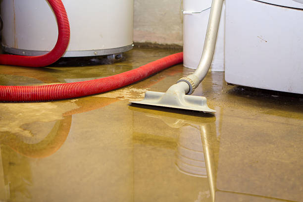 Best Flood damage cleanup  in Crystal Lake, CT