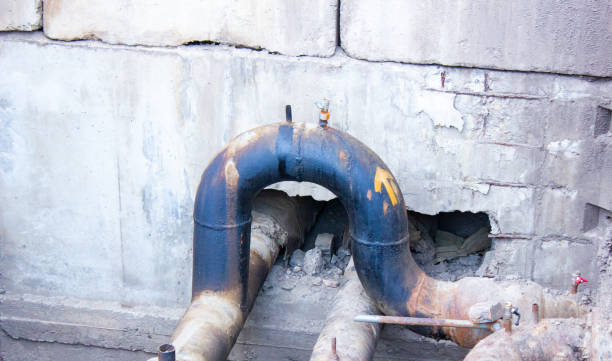 Best Professional water damage repair  in Crystal Lake, CT