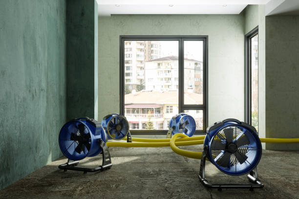 Best Water damage restoration near me  in Crystal Lake, CT