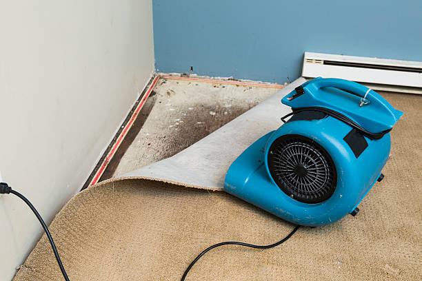Best Water damage restoration near me  in Crystal Lake, CT